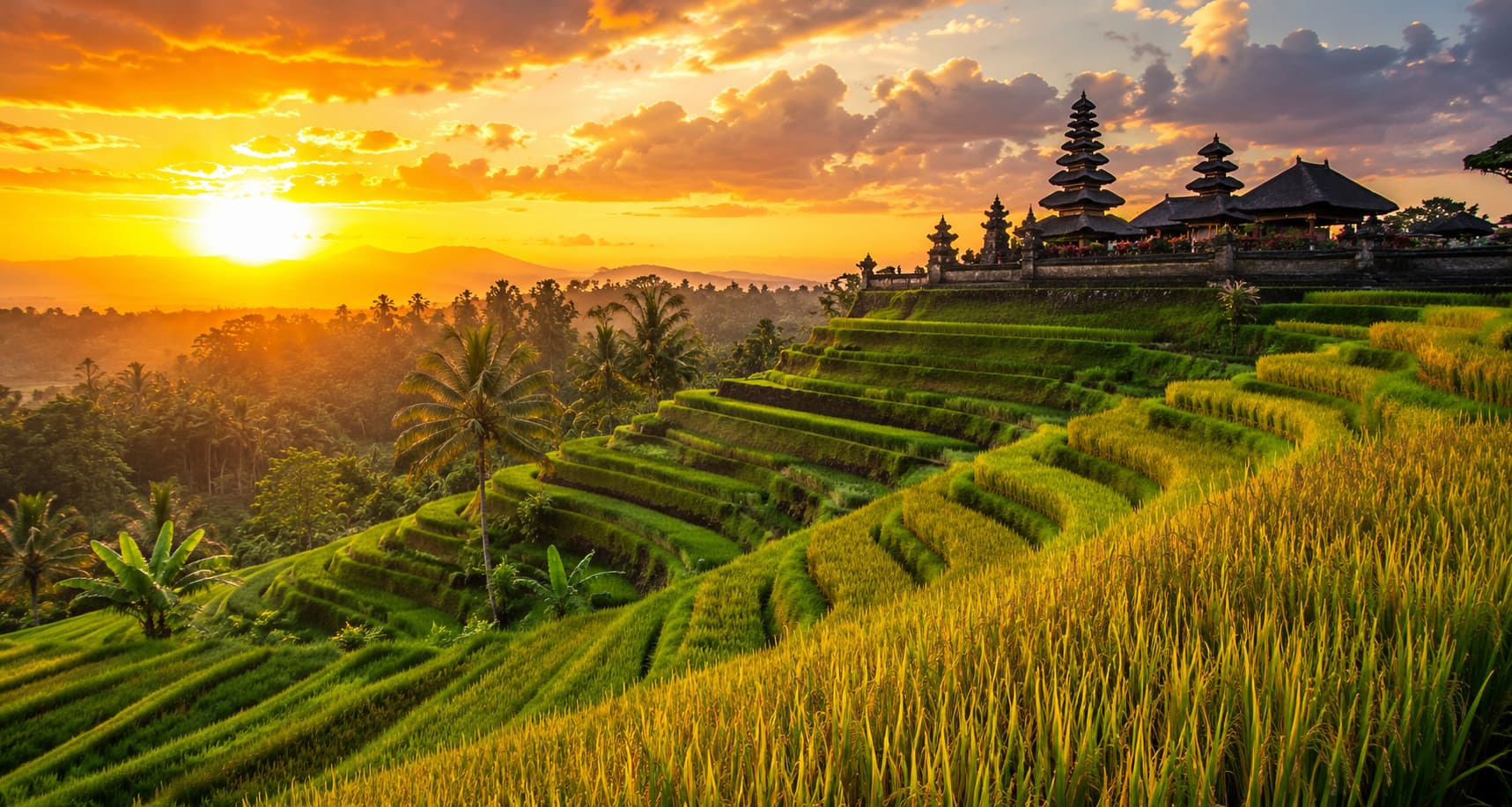 How Much Does a Trip to Bali Cost from India (2026 Guide)